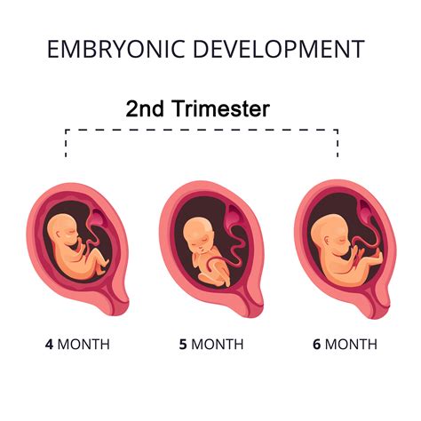 pregnan tporn